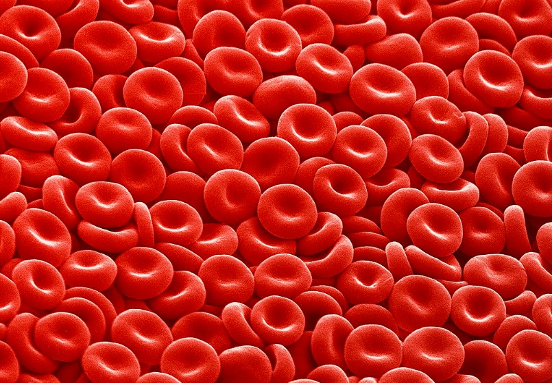 Australian Man Saves 2.4 Million Children From Rhesus Disease By Weekly Blood Donations
